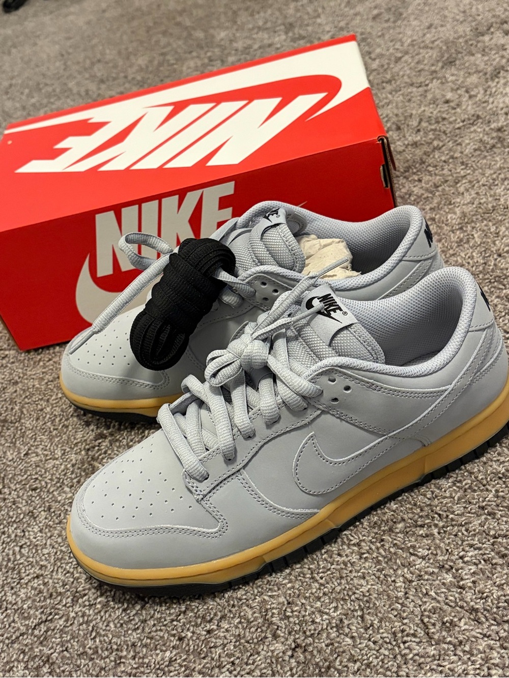 Nike Dunk Low Retro SE - BRAND NEW!